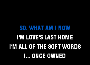 SO, WHAT AM I HOW
I'M LOVE'S LAST HOME
I'M ALL OF THE SOFT WORDS
l... ONCE OWNED