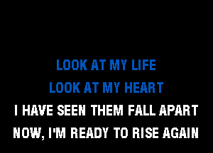 LOOK AT MY LIFE
LOOK AT MY HEART
I HAVE SEE THEM FALL APART
HOW, I'M READY TO RISE AGAIN