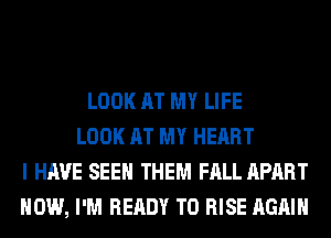 LOOK AT MY LIFE
LOOK AT MY HEART
I HAVE SEE THEM FALL APART
HOW, I'M READY TO RISE AGAIN