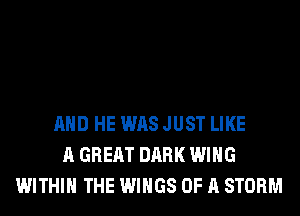 AND HE WAS JUST LIKE
A GREAT DARK WING
WITHIN THE WINGS OF A STORM