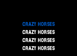CRAZY HORSES

CRAZY HORSES
CRAZY HORSES
CRAZY HORSES
