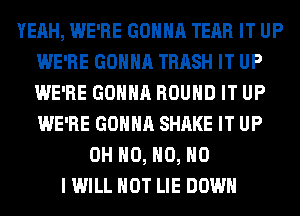 YEAH, WE'RE GONNA TEAR IT UP
WE'RE GONNA TRASH IT UP
WE'RE GONNA ROUND IT UP
WE'RE GONNA SHAKE IT UP

OH H0, H0, NO
I WILL NOT LIE DOWN