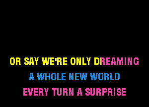 0R SAY WE'RE ONLY DREAMIHG
A WHOLE NEW WORLD
EVERY TURN A SURPRISE