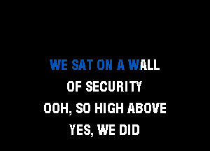 WE SAT 0 A WALL

0F SECURITY
00H, 80 HIGH ABOVE
YES, WE DID