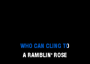 WHO CAN CLIHG TO
A RAMBLIH' ROSE