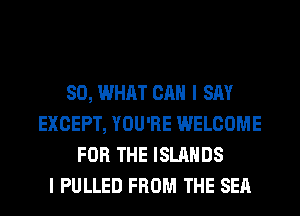 SO, WHAT CAN I SAY
EXCEPT, YOU'RE WELCOME
FOR THE ISLANDS
I PULLED FROM THE SEA