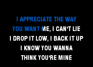 I APPRECIATE THE WAY
YOU WANT ME, I CAN'T LIE
I DROP IT LOW, I BACK IT UP
I KNOW YOU WANNA
THINK YOU'RE MIIIE