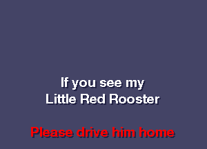 If you see my
Little Red Rooster