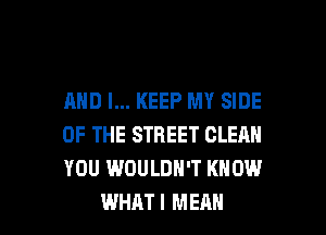 AND I... KEEP MY SIDE
OF THE STREET CLERN
YOU WOULDN'T KNOW

WHAT I MEAN l