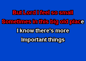 But Lord I feel so small
Sometimes in this big old place

I know there's more
Important things