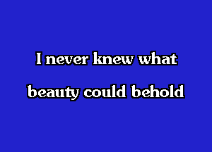 lnever knew what

beauty could behold