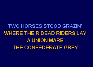 TWO HORSES STOOD GRAZIN'
WHERE THEIR DEAD RIDERS LAY
A UNION MARE
THE CONFEDERATE GREY