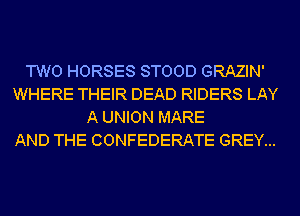 TWO HORSES STOOD GRAZIN'
WHERE THEIR DEAD RIDERS LAY
A UNION MARE
AND THE CONFEDERATE GREY...