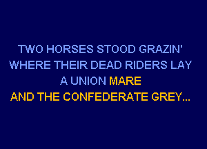 TWO HORSES STOOD GRAZIN'
WHERE THEIR DEAD RIDERS LAY
A UNION MARE
AND THE CONFEDERATE GREY...
