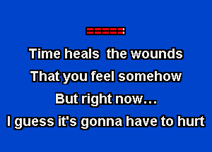 Time heals the wounds

That you feel somehow
But right now...
I guess it's gonna have to hurt