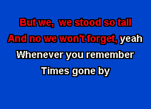 But we, we stood so tall
And no we won't forget, yeah

Whenever you remember

Times gone by