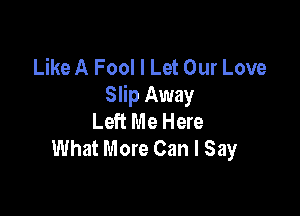 Like A Fool I Let Our Love
Slip Away

Left Me Here
What More Can I Say