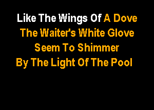 Like The Wings Of A Dove
The Waiter's White Glove
Seem To Shimmer

By The Light Of The Pool