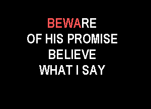 BEWARE
OF HIS PROMISE
BELIEVE

WHAT I SAY