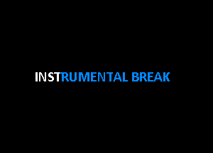 INSTRUMENTAL BREAK