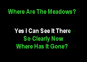 Where Are The Meadows?

Yes I Can See It There

80 Clearly Now
Where Has It Gone?
