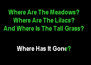 Where Are The Meadows?
Where Are The Lilacs?
And Where Is The Tall Grass?

Where Has It Gone?