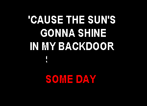 'CAUSETHESUNS
GONNA SHINE
INMYBACKDOOR

SOME DAY