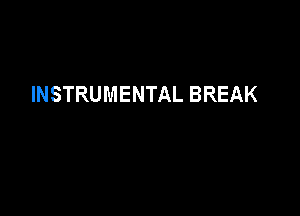 INSTRUMENTAL BREAK