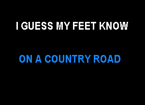 I GUESS MY FEET KNOW

ON A COUNTRY ROAD