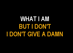 WHAT I AM
BUT I DON'T

I DON'T GIVE A DAMN