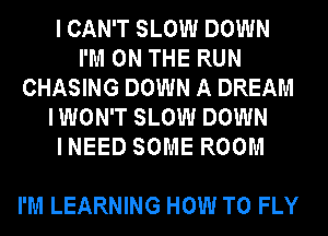 I CAN'T SLOW DOWN
I'M ON THE RUN
CHASING DOWN A DREAM
I WON'T SLOW DOWN
I NEED SOME ROOM

I'M LEARNING HOW TO FLY