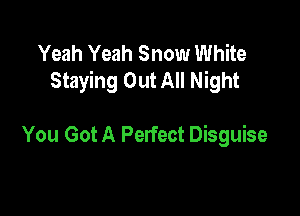 Yeah Yeah Snow White
Staying Out All Night

You Got A Perfect Disguise