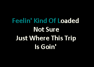 Feelin' Kind Of Loaded
Not Sure

Just Where This Trip
ls Goin'