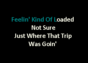 Feelin' Kind Of Loaded
Not Sure

Just Where That Trip
Was Goin'