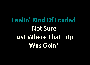 Feelin' Kind Of Loaded
Not Sure

Just Where That Trip
Was Goin'