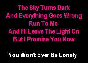 The Sky Turns Dark
And Everything Goes Wrong
Run To Me
And I'll Leave The Light On
But I Promise You Now

You Won't Ever Be Lonely