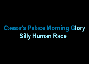 Caesars Palace Morning Glory

Silly Human Race
