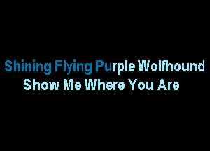 Shining Flying Purple Wolfhound

Show Me Where You Are