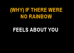 (WHY) IF THERE WERE
N0 RAINBOW

FEELS ABOUT YOU