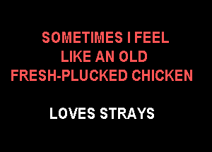 SOMETIMES I FEEL
LIKE AN OLD
FRESH-PLUCKED CHICKEN

LOVES STRAYS