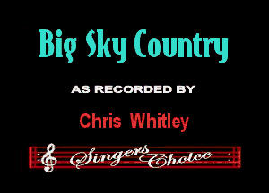 - 133le Wily (C(chlmml'tm

Chris Whitley