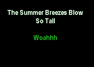The Summer Breezes Blow
80 Tall

Woahhh