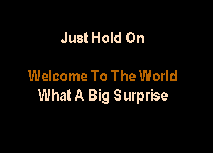 Just Hold On

Welcome To The World

What A Big Surprise