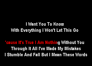 I Want You To Know
With Every1hing I Won't Let This Go

'cause It's True I Am Nothing Without You
Through It All I've Made My Mistakes
I Stumble And Fall But I Mean These Words