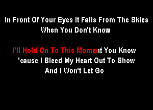 In Front Of Your Eyes It Falls From The Skies
When You Don't Know

I'll Hold On To This Moment You Know

'cause I Blecd My Head Out To Show
And lWon't Let Go