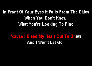 In Front Of Your Eyes It Falls From The Skies
When You Don't Know
What You're Looking To Find

'cause I Bleed My Heart Out To Show
And I Won't Let Go