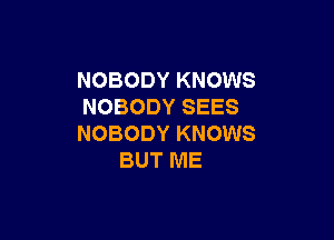 NOBODY KNOWS
NOBODY SEES

NOBODY KNOWS
BUT ME