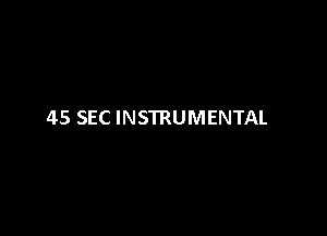 45 SEC INSTRUMENTAL