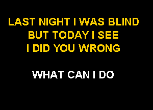 LAST NIGHT I WAS BLIND
BUT TODAY I SEE
I DID YOU WRONG

WHAT CAN I DO