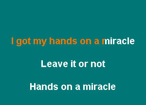 I got my hands on a miracle

Leave it or not

Hands on a miracle